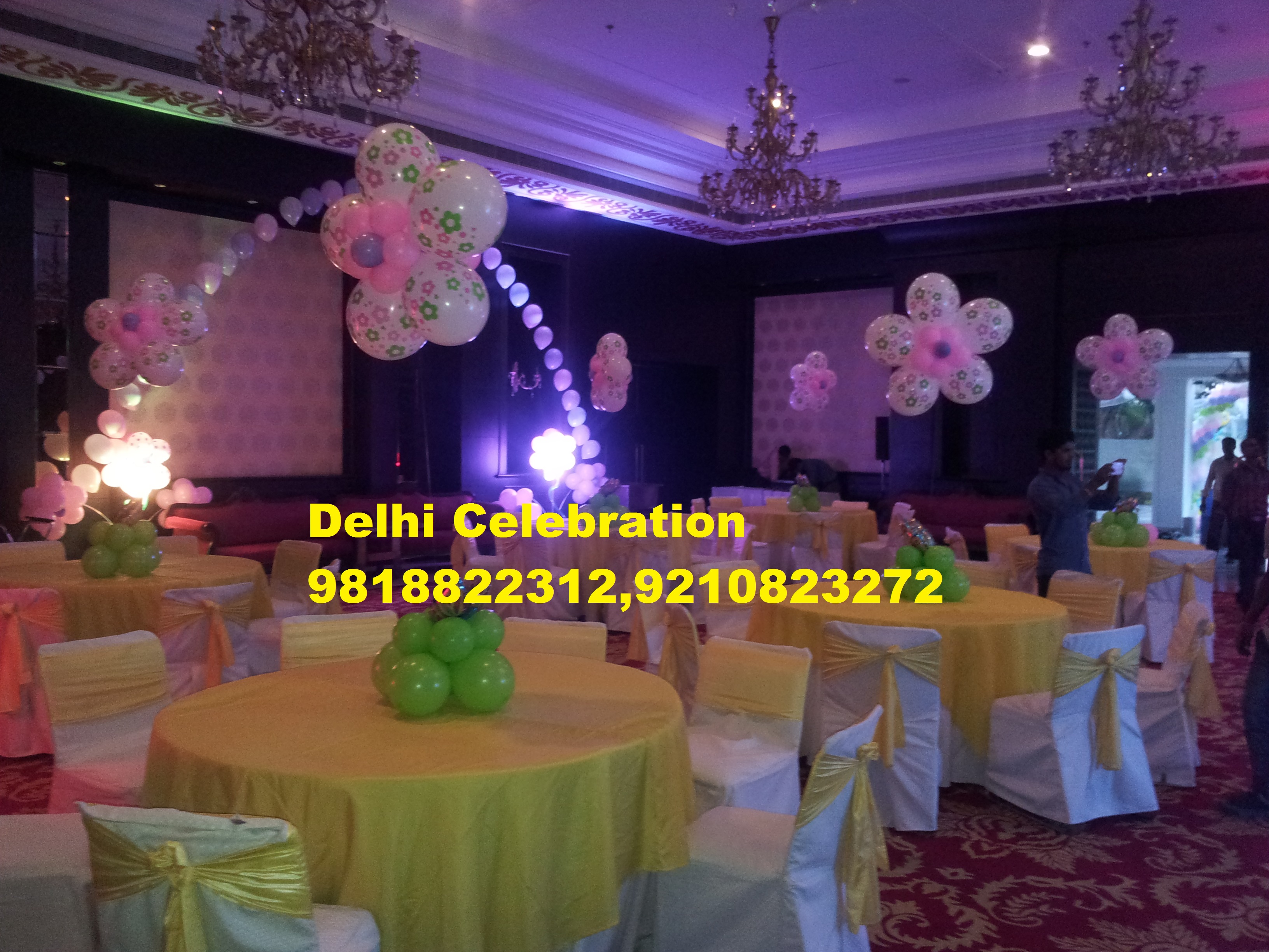 Delhi Celebration 91 98188 22312 Delhi Celebration 